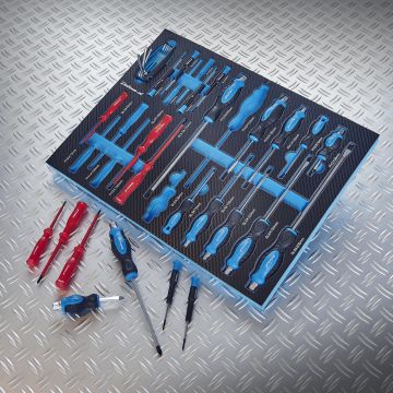 Module PRO 25 Tournevis et Clés Torx